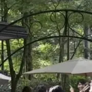 sariの画像
