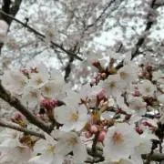れい玲菜な ✨--✨