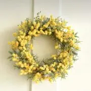 rikkaの画像