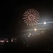 ぽぽの画像