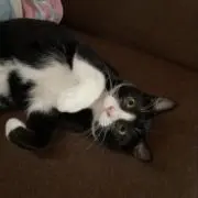 bravoの画像