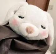つむぎちゃんの画像