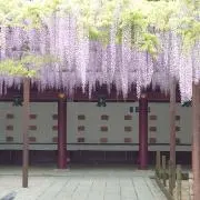 healing windの画像