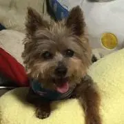 うめちゃん24