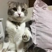 くろ