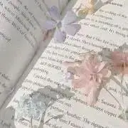Yの画像