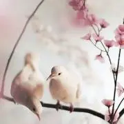 もか