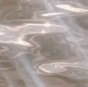 zの画像