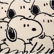 ⁂マメ⁂の画像