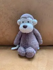 YMの画像