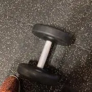だんべるの画像