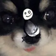 まけんき