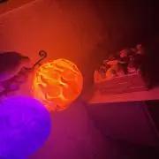 もちもち