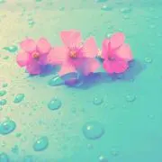 ao＊の画像
