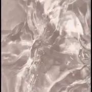 るんばの画像