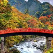 aroの画像