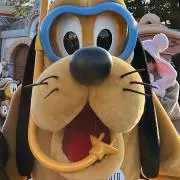 Reeeeの画像