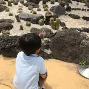 チッチの画像