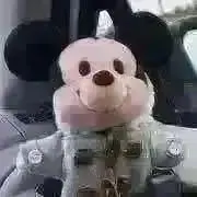 はくの画像