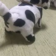 ‪ ·͜·特別なセール開催中✨️春夏物多の画像