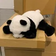 そう