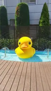 まるの画像