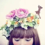 775の画像