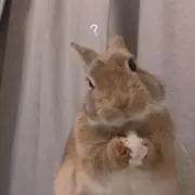 ☺︎の画像