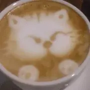 はし