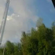 Frg