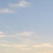 こんこんの画像