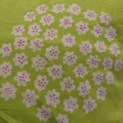 ころころ　要プロフィール確認願います