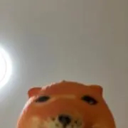 JTの画像