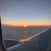 セール中の画像