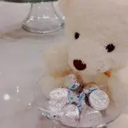 まりもの画像