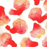 015の画像