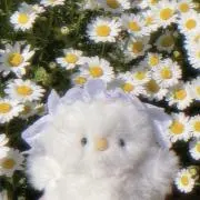 わたふわの画像