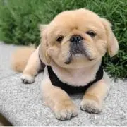 kokiの画像