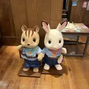 nの画像