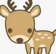 KOJIKAMARUの画像