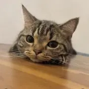 naa.の画像
