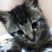 ユキ❤️プロフ必読⭐️の画像