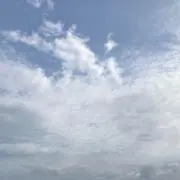あらら
