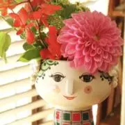 fukkiの画像
