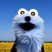 sunsunの画像