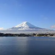 サシミの画像