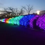 こまたむ※プロフ必読の画像