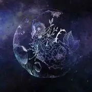 むーん