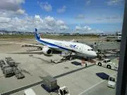 カナリヤの画像