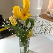 Yukiの画像